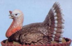 turkey