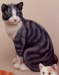 lg cat