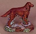 Irish Setter