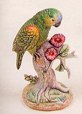 parrot