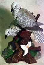 doves