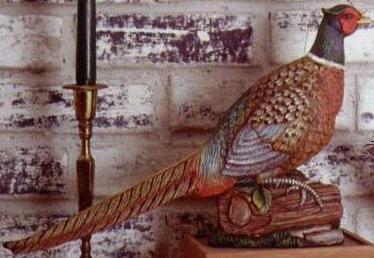 pheasant