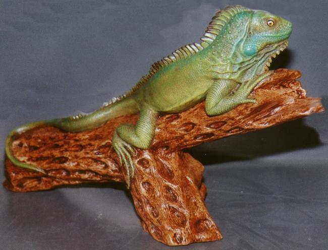iguana