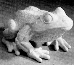 frog