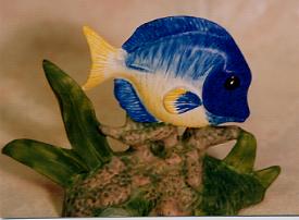 blue tang